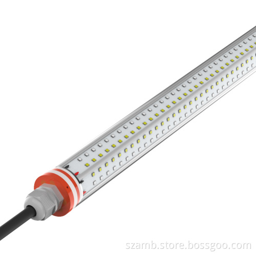 T12 Poultry Lighting